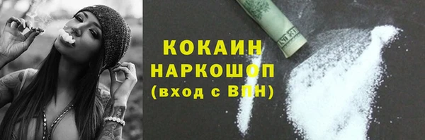 бошки Белокуриха